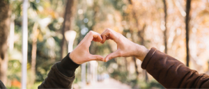 Encuentra el amor